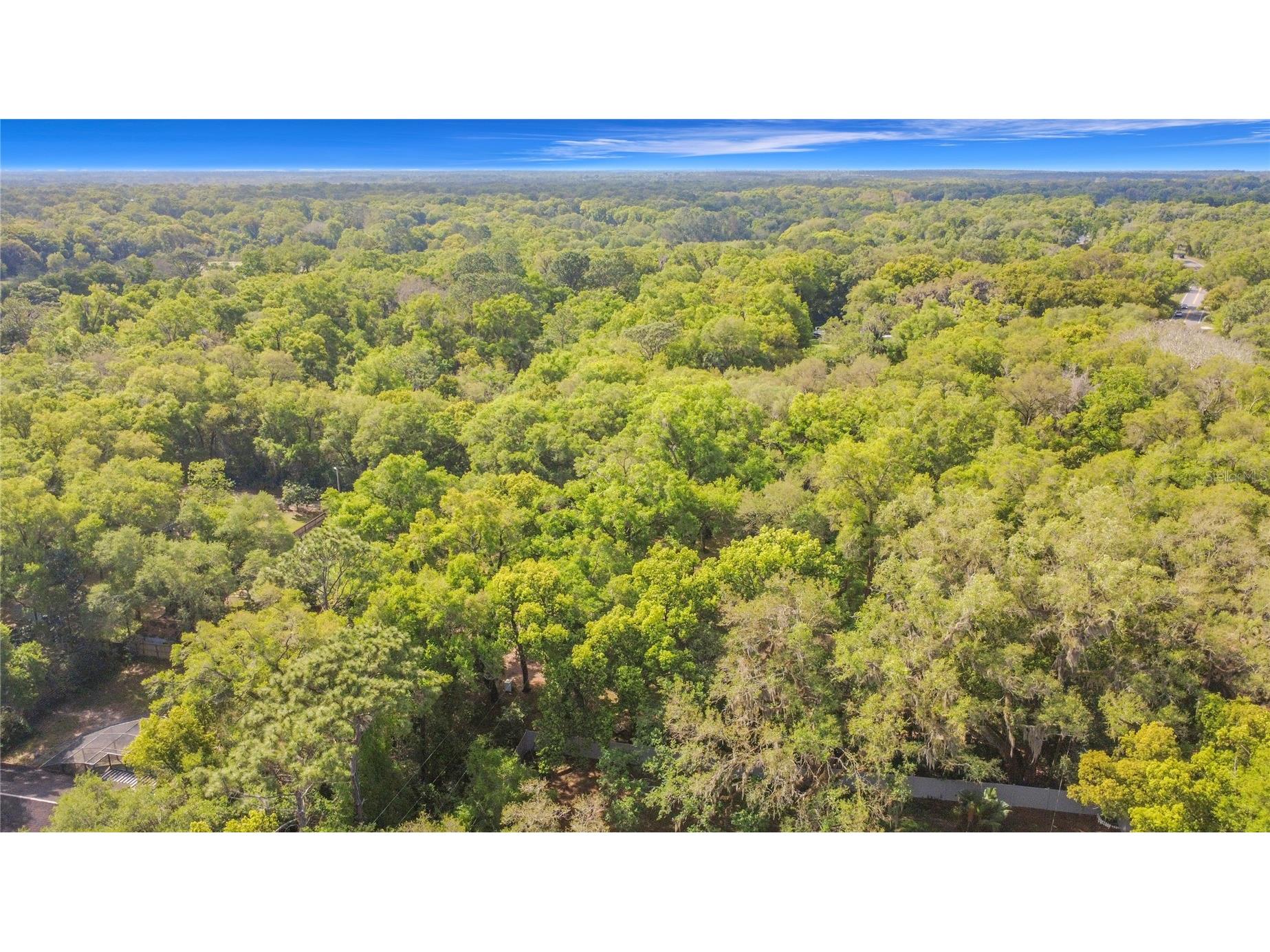 31427 Ghent Avenue Mount Plymouth FL 32776 O6394741 image35