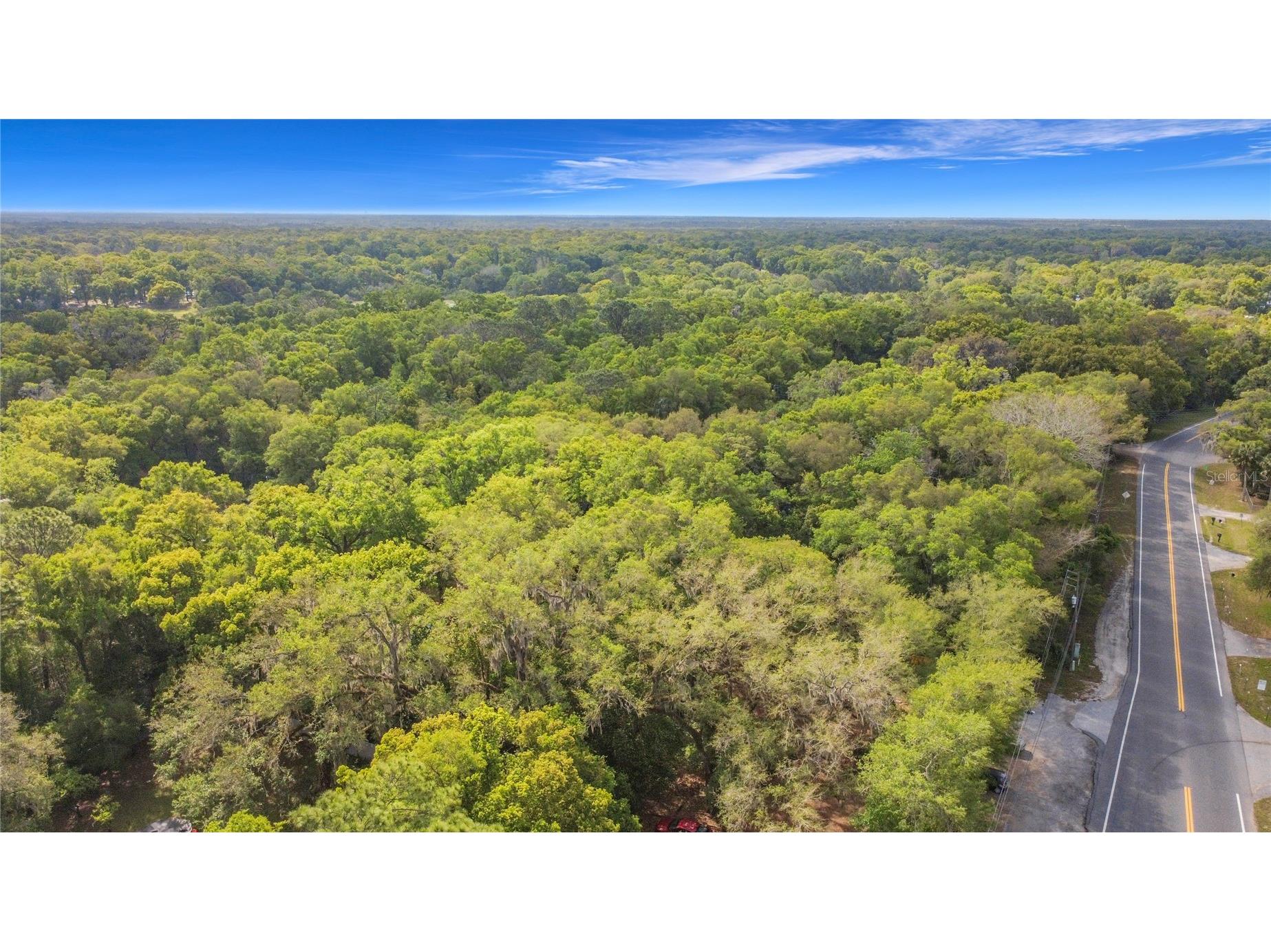 31427 Ghent Avenue Mount Plymouth FL 32776 O6394741 image36