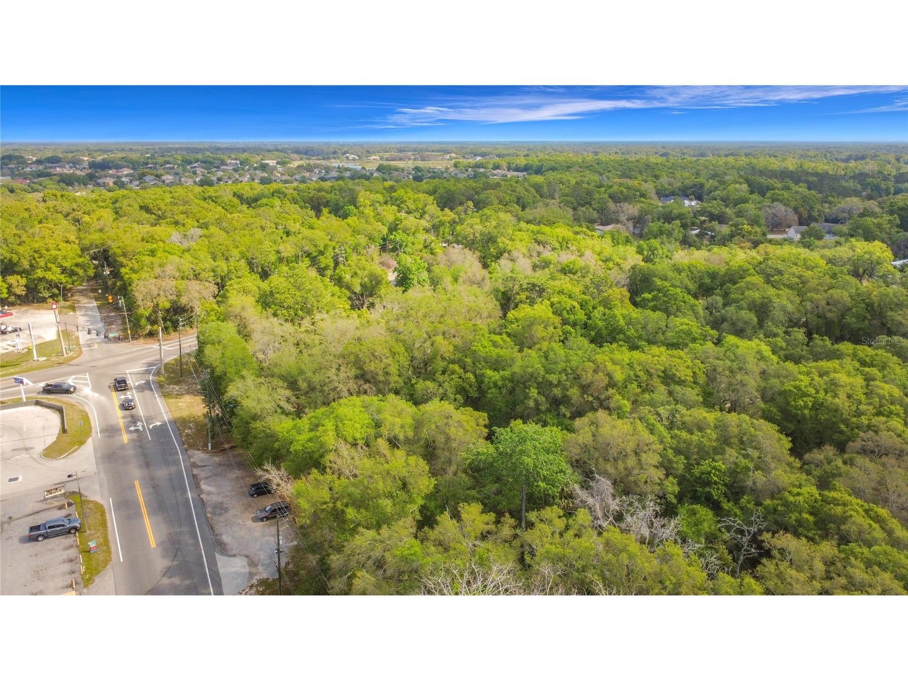 31427 Ghent Avenue Mount Plymouth FL 32776 O6394741 image37