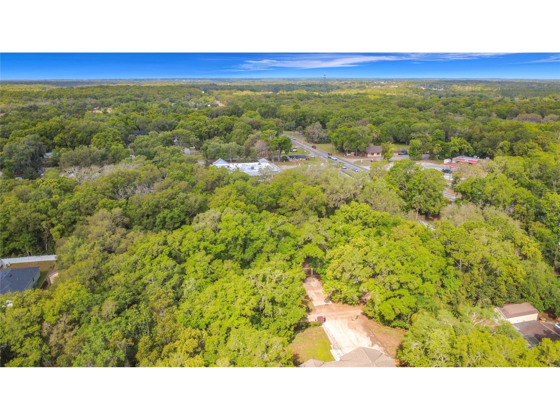 31427 Ghent Avenue Mount Plymouth FL 32776 O6394741 image38