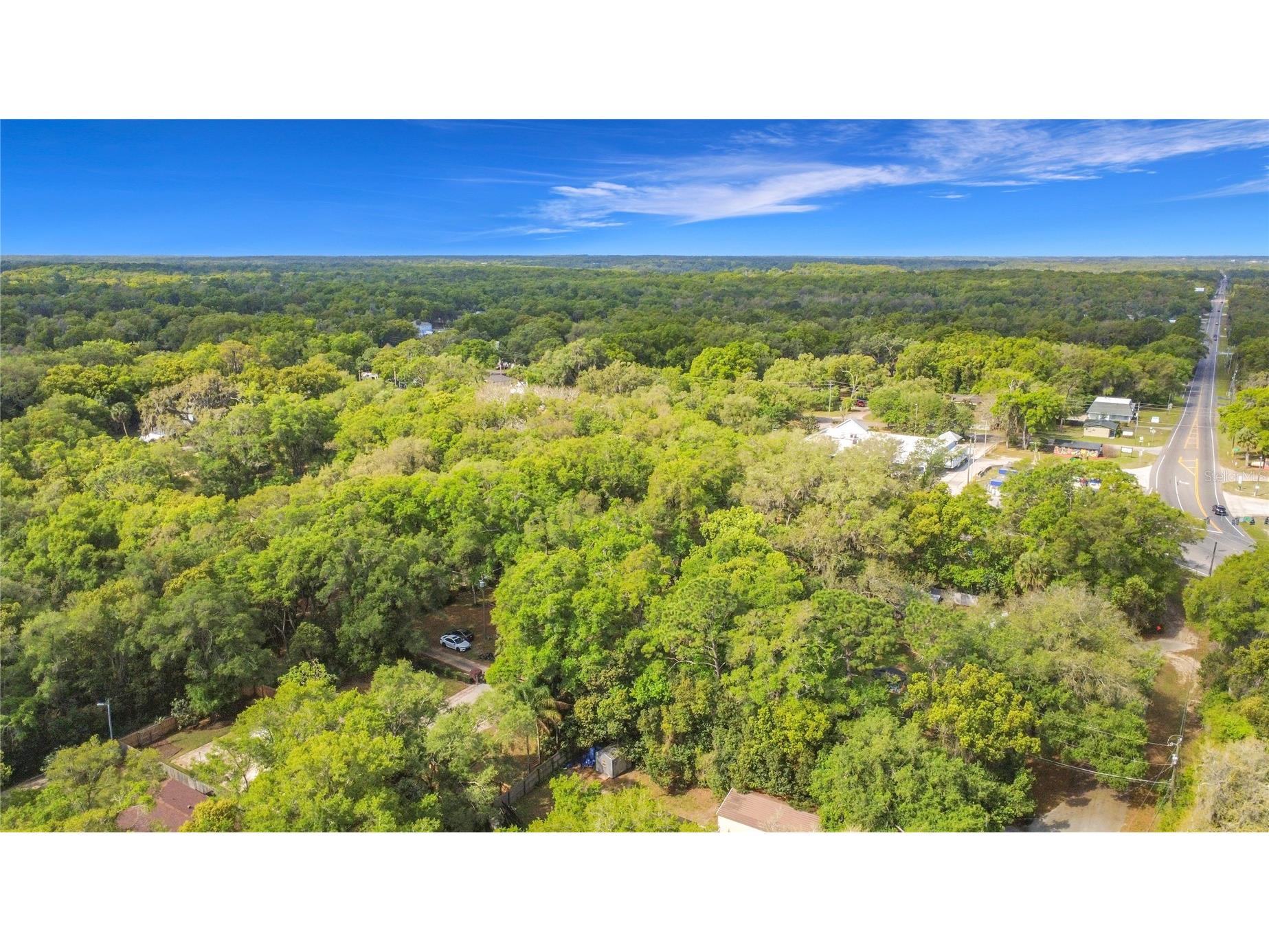 31427 Ghent Avenue Mount Plymouth FL 32776 O6394741 image39