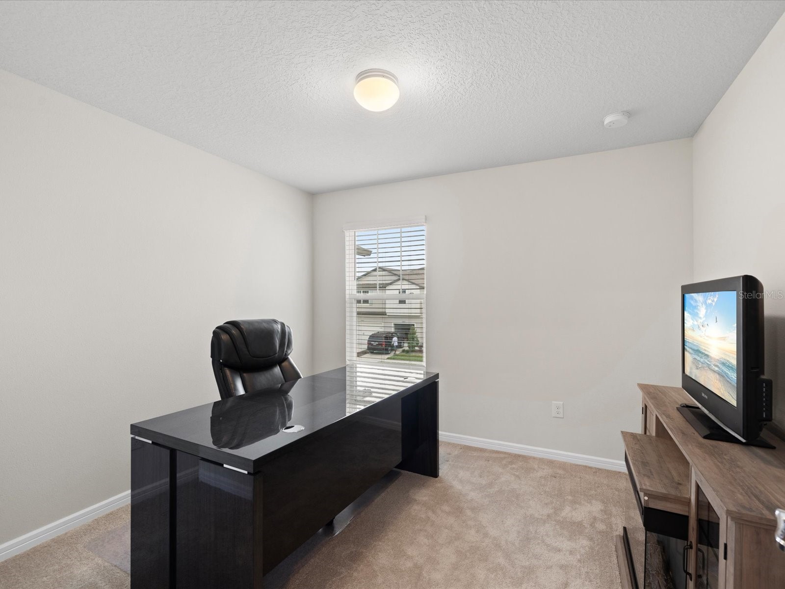 31428 Amberview Bend Wesley Chapel FL 33545 TB8460194 image29