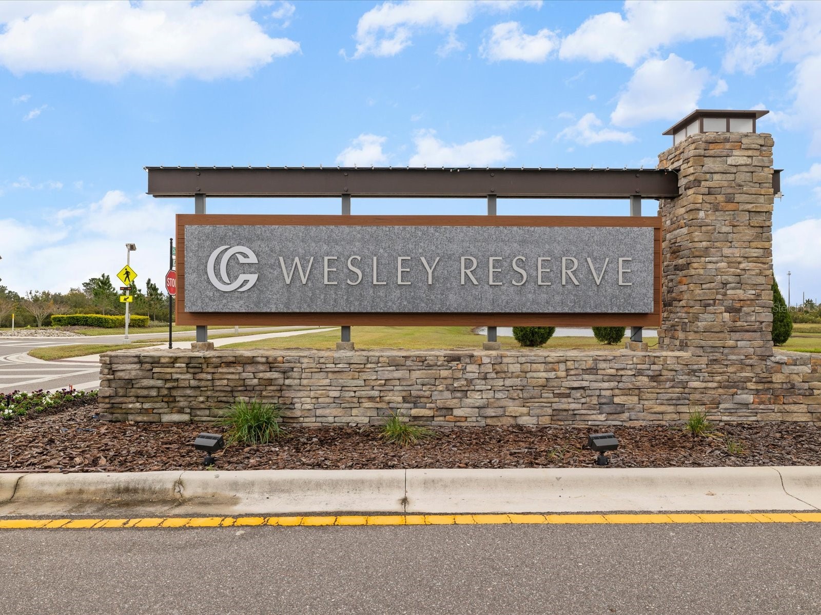 31428 Amberview Bend Wesley Chapel FL 33545 TB8460194 image37
