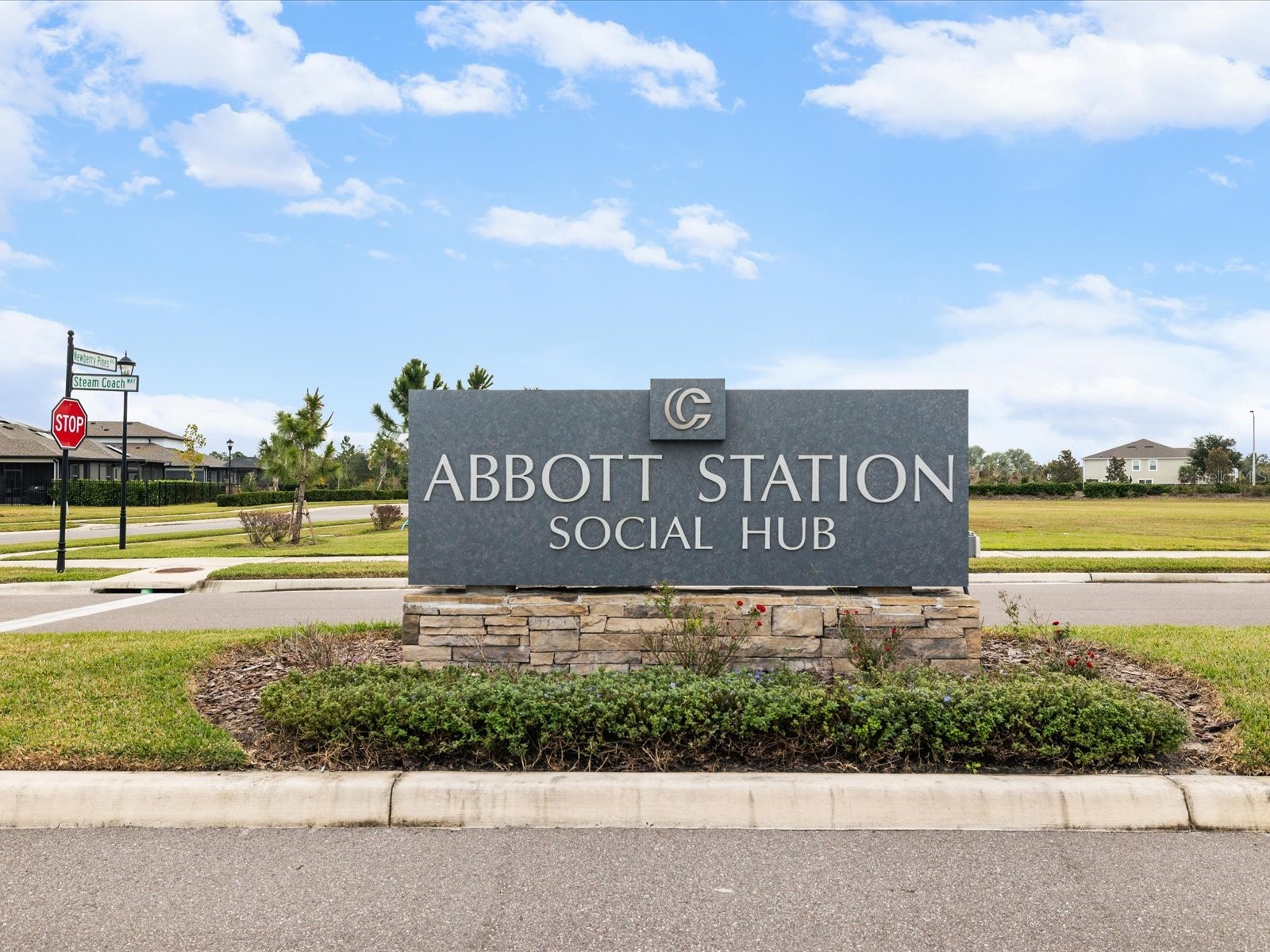 31428 Amberview Bend Wesley Chapel FL 33545 TB8460194 image44