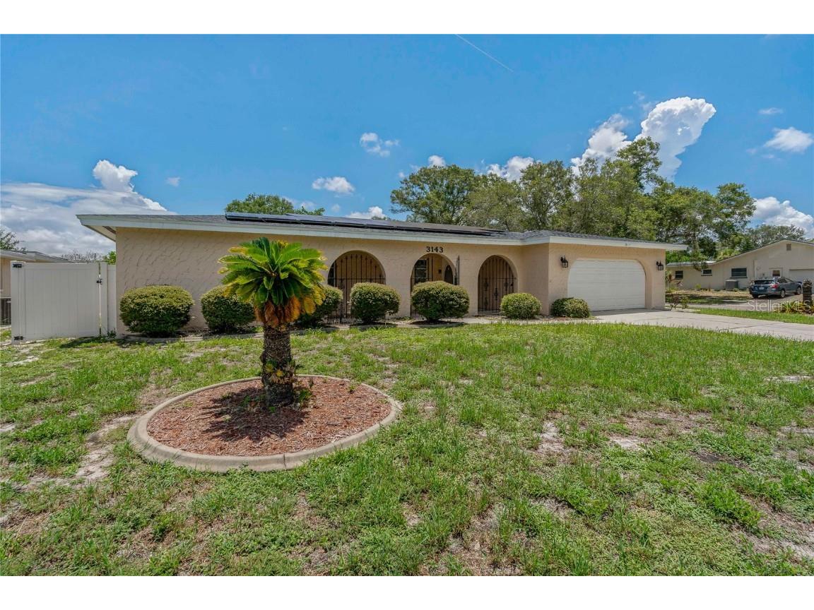 3143 Fiesta Drive Dunedin FL 34698 U8207156 image1