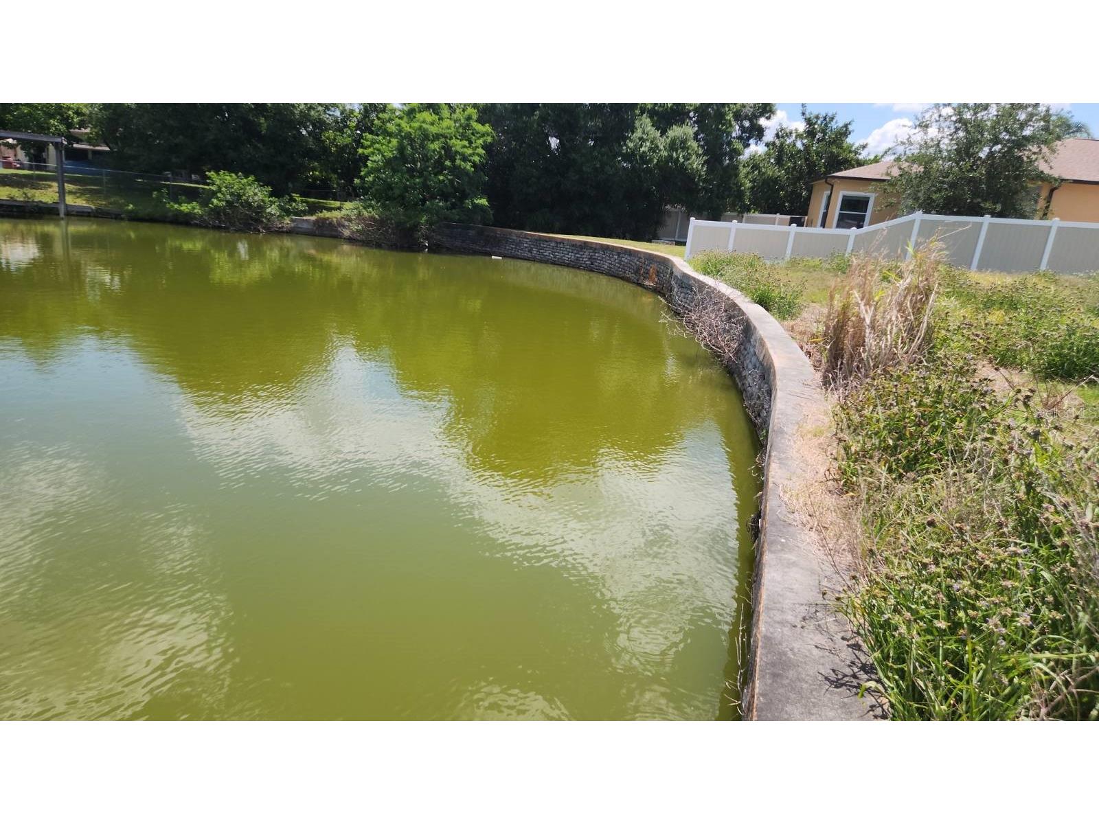 3143 Jackson Drive Holiday FL 34691 TB8501507 image6