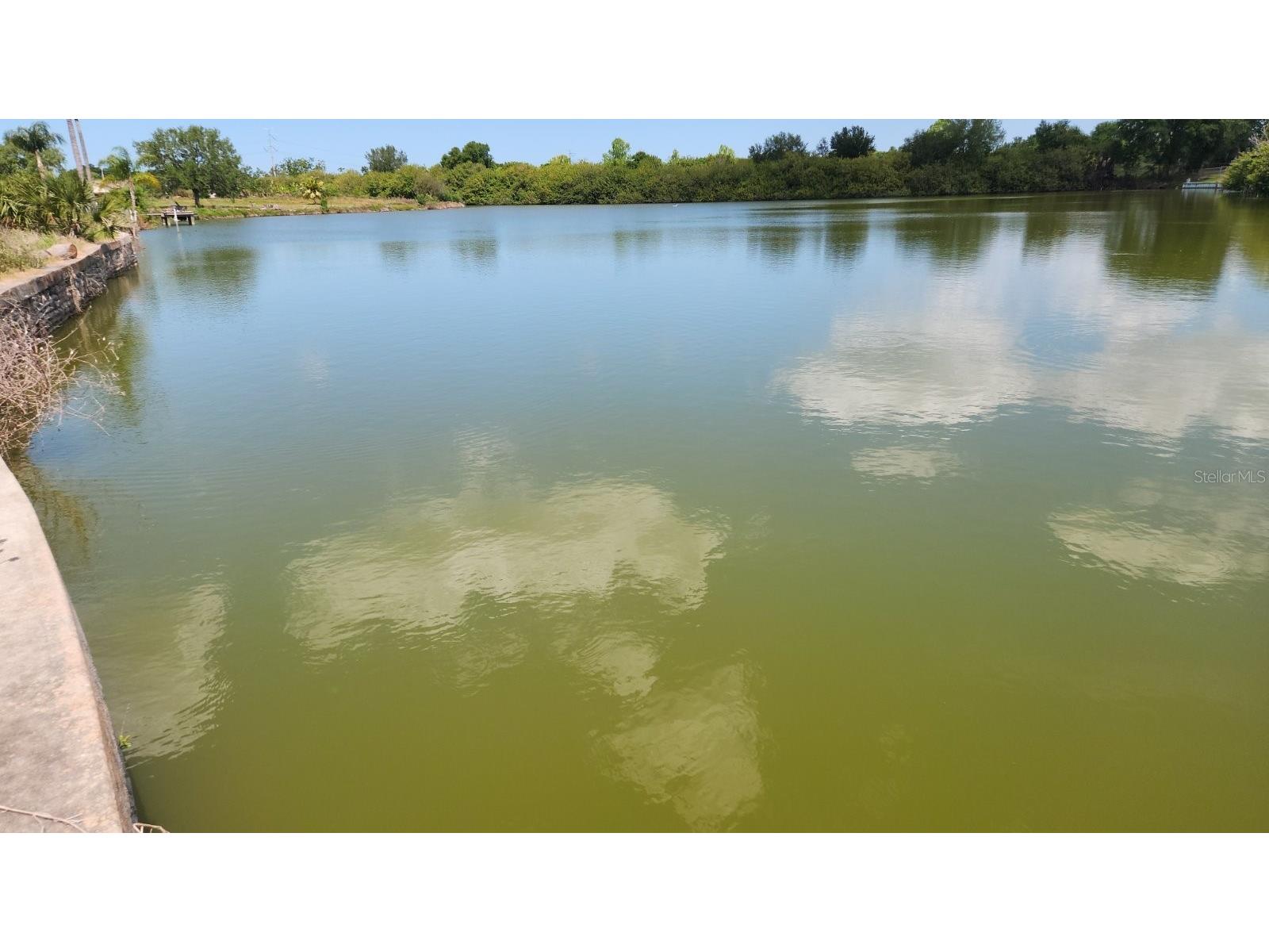 3143 Jackson Drive Holiday FL 34691 TB8501507 image7