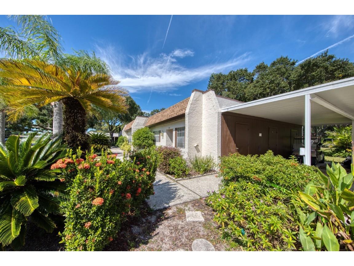 3143 Mission Grove Drive #C Palm Harbor FL 34684 - LAKE TARPON U8175623 image1