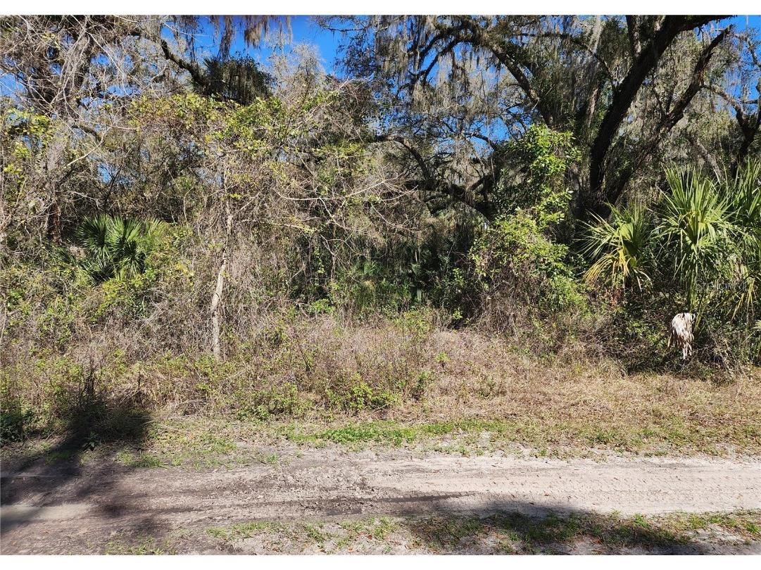 3143 NE 163rd Lane Citra FL 32113 OM673470 image1