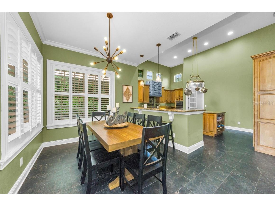 3143 Pineview Drive Holiday FL 34691 W7879730 image13