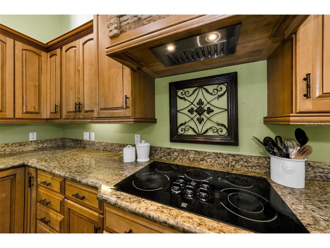 3143 Pineview Drive Holiday FL 34691 W7879730 image22