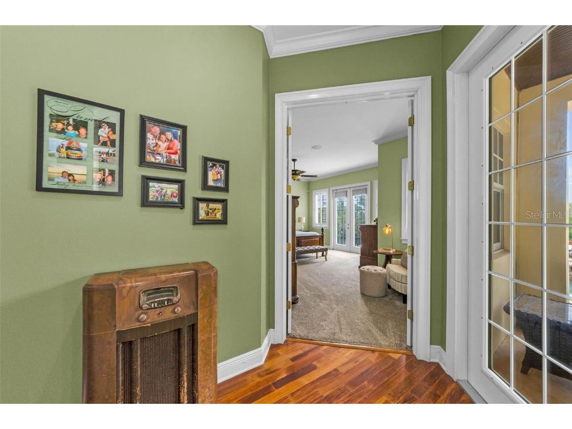 3143 Pineview Drive Holiday FL 34691 W7879730 image29