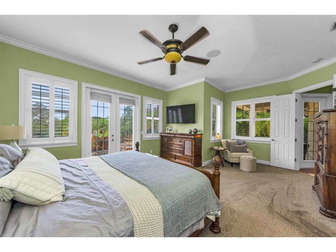 3143 Pineview Drive Holiday FL 34691 W7879730 image33