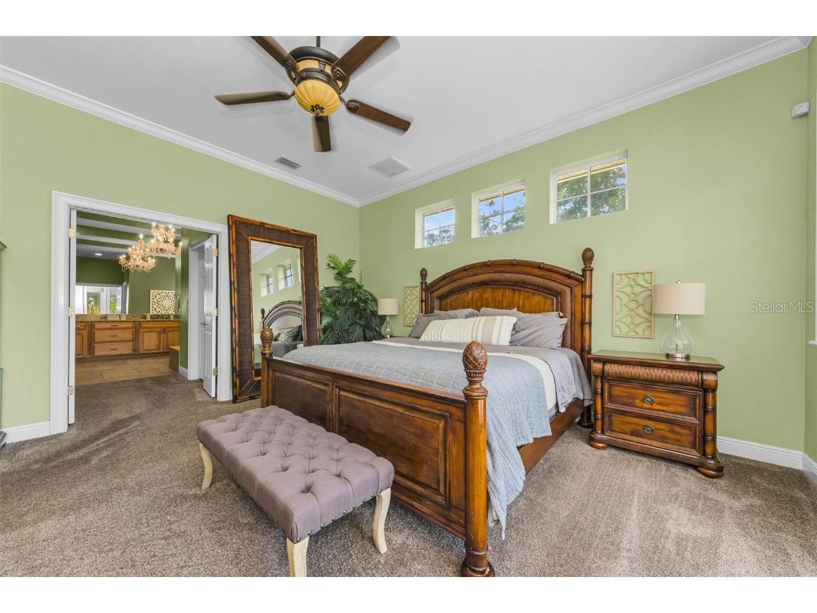 3143 Pineview Drive Holiday FL 34691 W7879730 image34