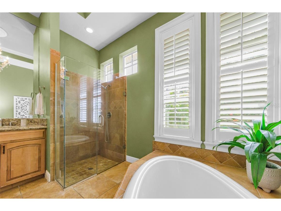 3143 Pineview Drive Holiday FL 34691 W7879730 image38