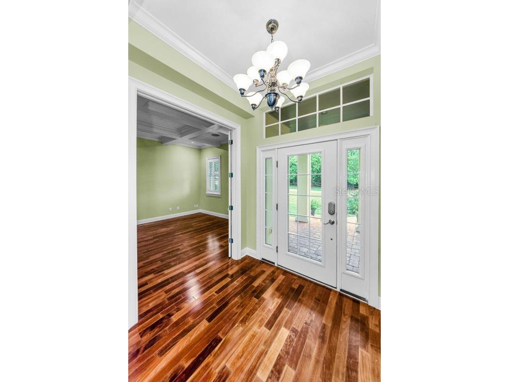 3143 Pineview Drive Holiday FL 34691 W7879730 image8