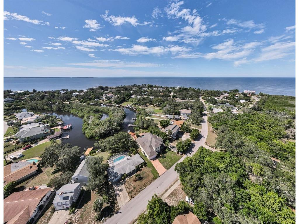 3143 Pineview Drive Holiday FL 34691 W7879730 image89