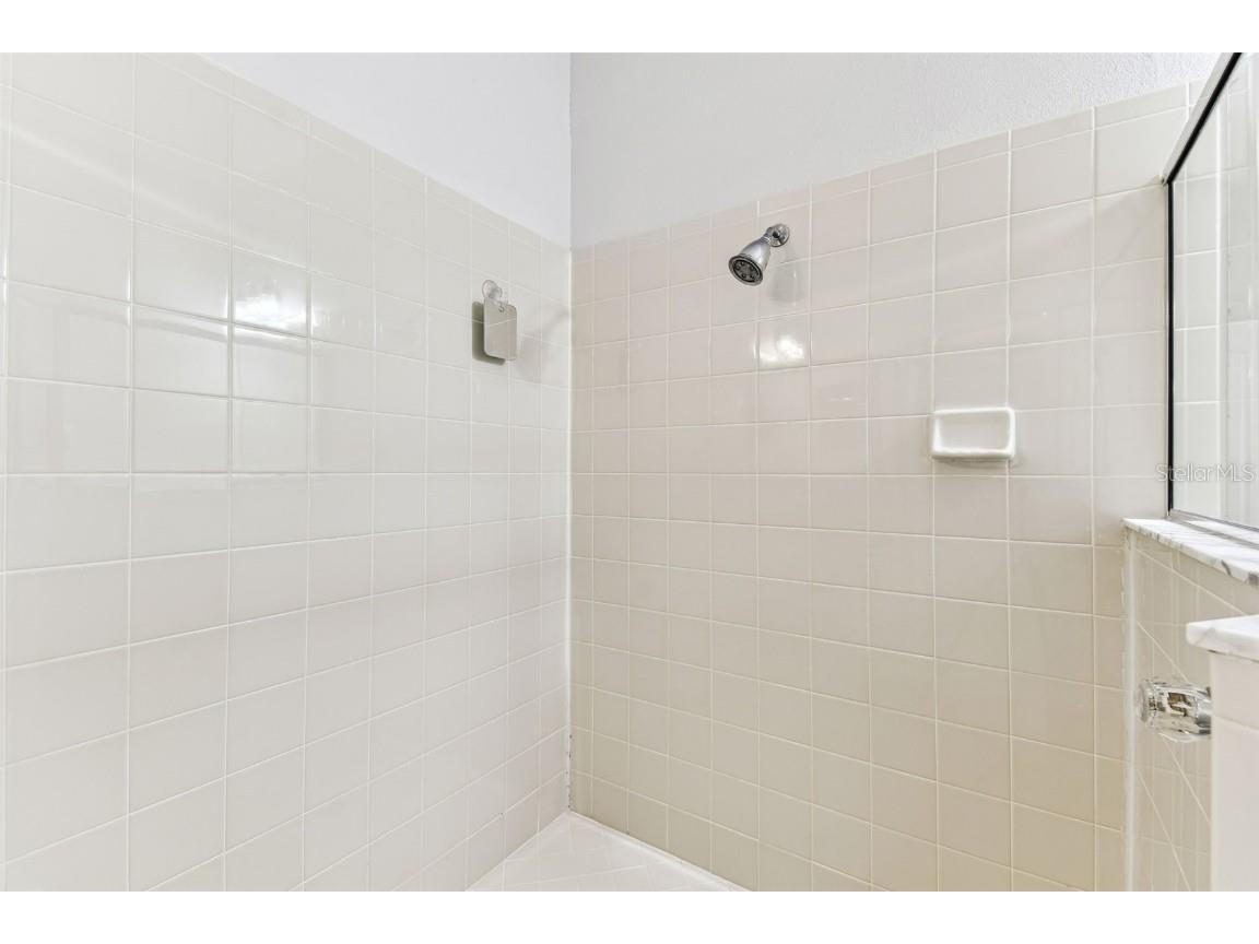 31434 Shaker Circle Wesley Chapel FL 33543 TB8375245 image22