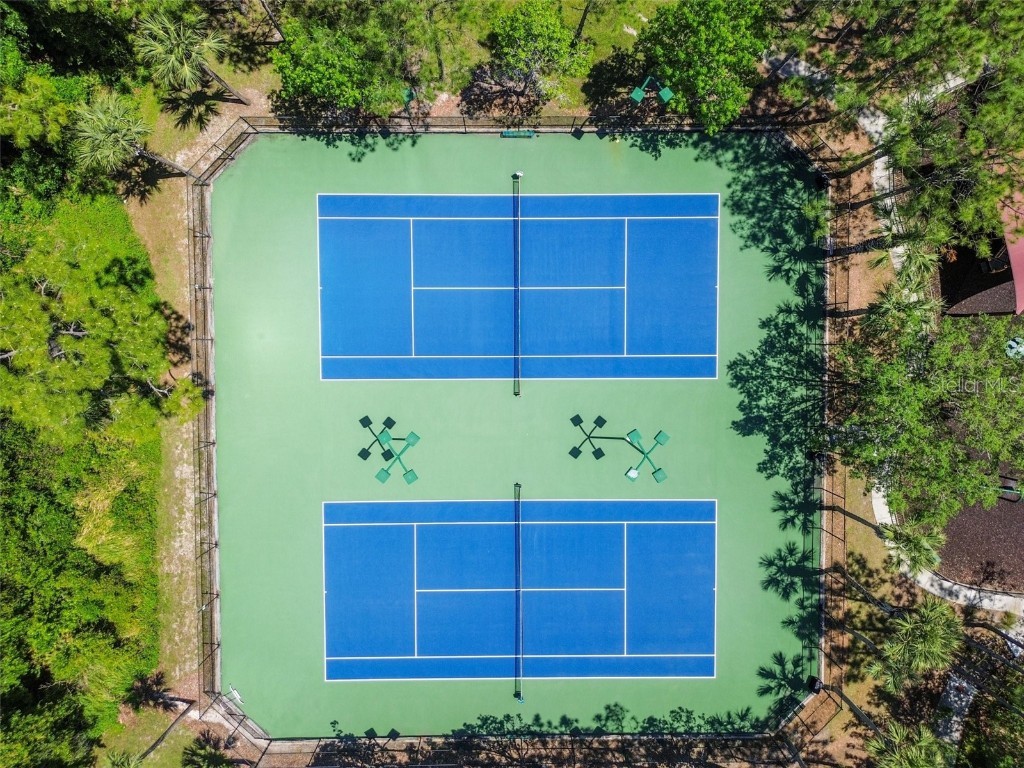 31434 Shaker Circle Wesley Chapel FL 33543 TB8375245 image38