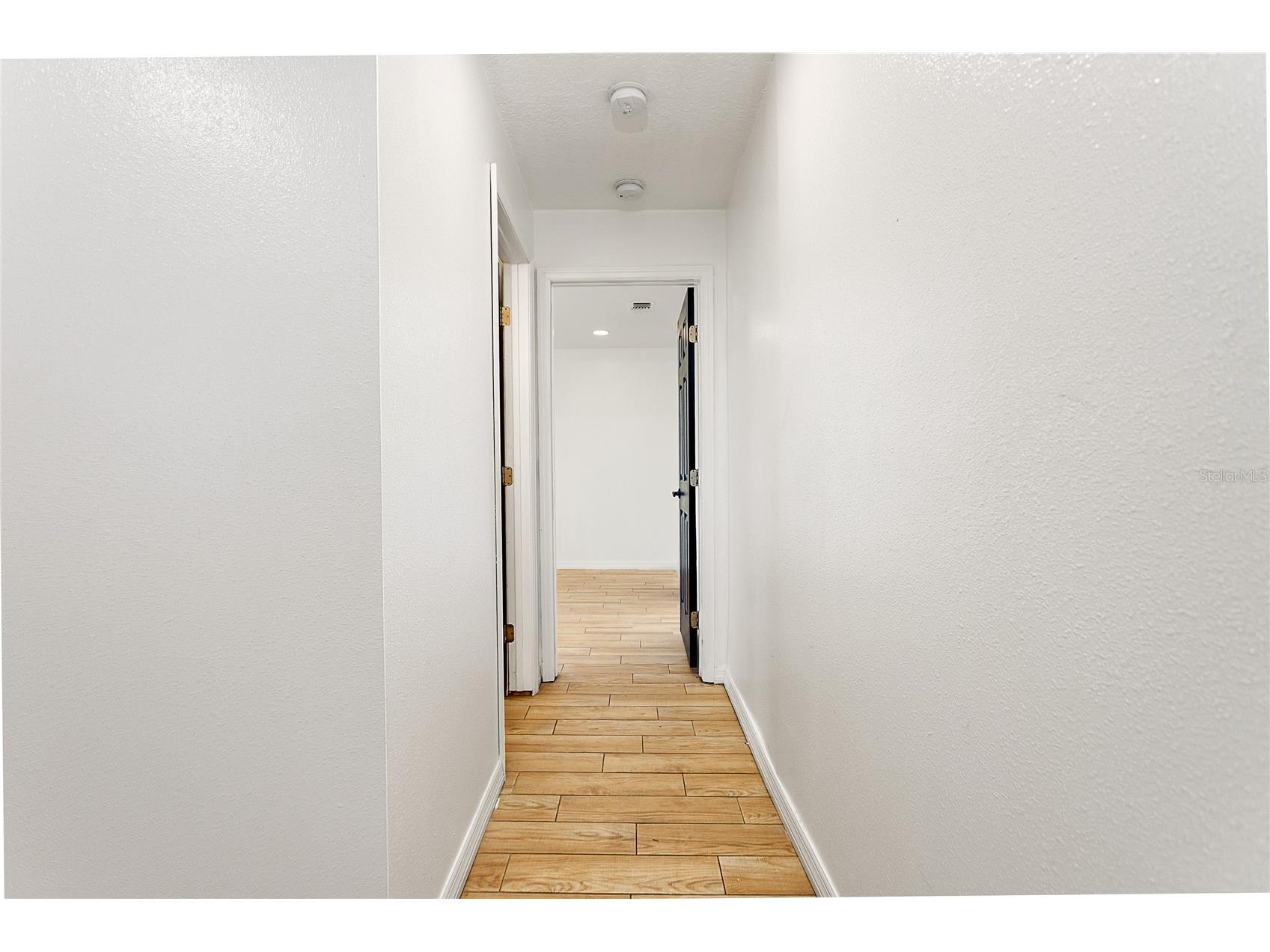 31439 Stirrup Lane Wesley Chapel FL 33543 TB8468095 image23