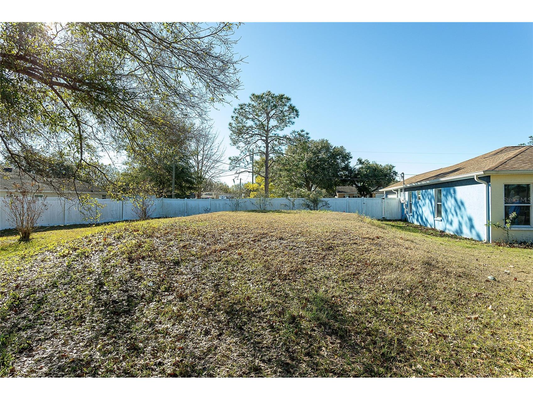 31439 Stirrup Lane Wesley Chapel FL 33543 TB8468095 image37