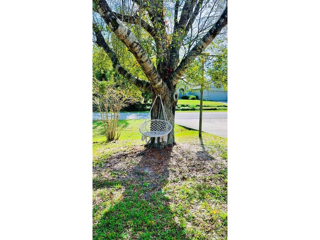 3144 Boxelder Street Deltona FL 32725 V4945843 image4