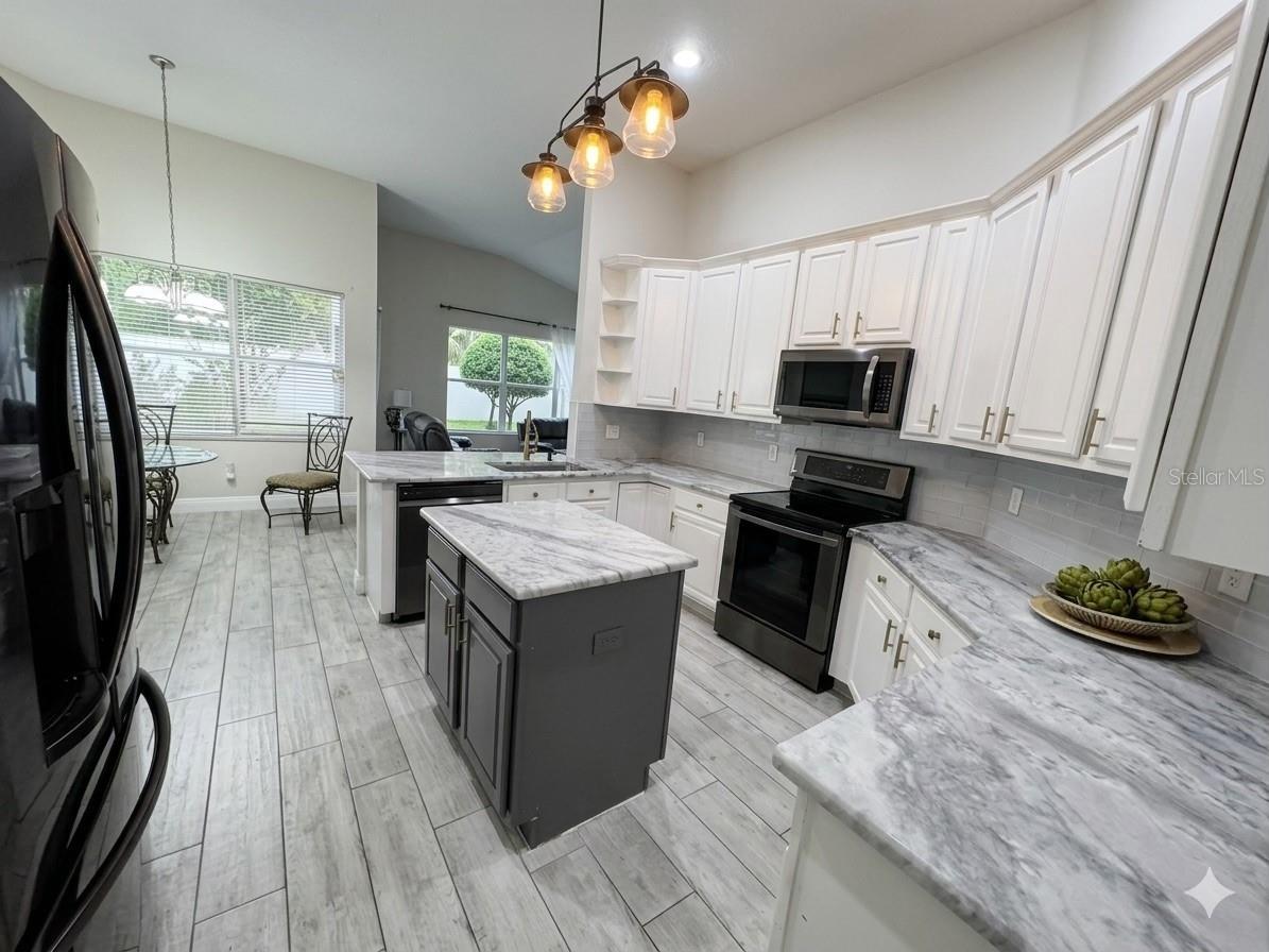 3144 Floral Way E Apopka FL 32703 S5151713 image6