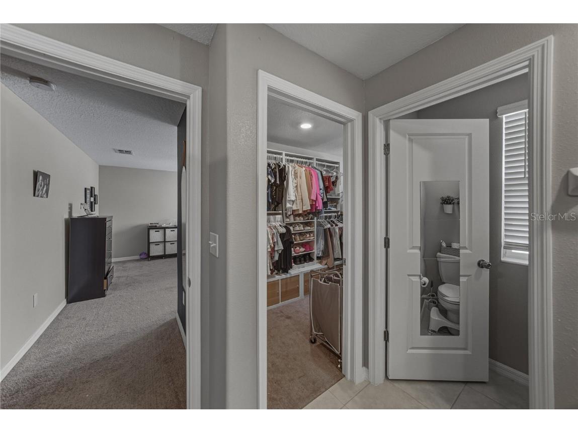 3144 Oyster Cove Street Wimauma FL 33598 TB8447212 image53