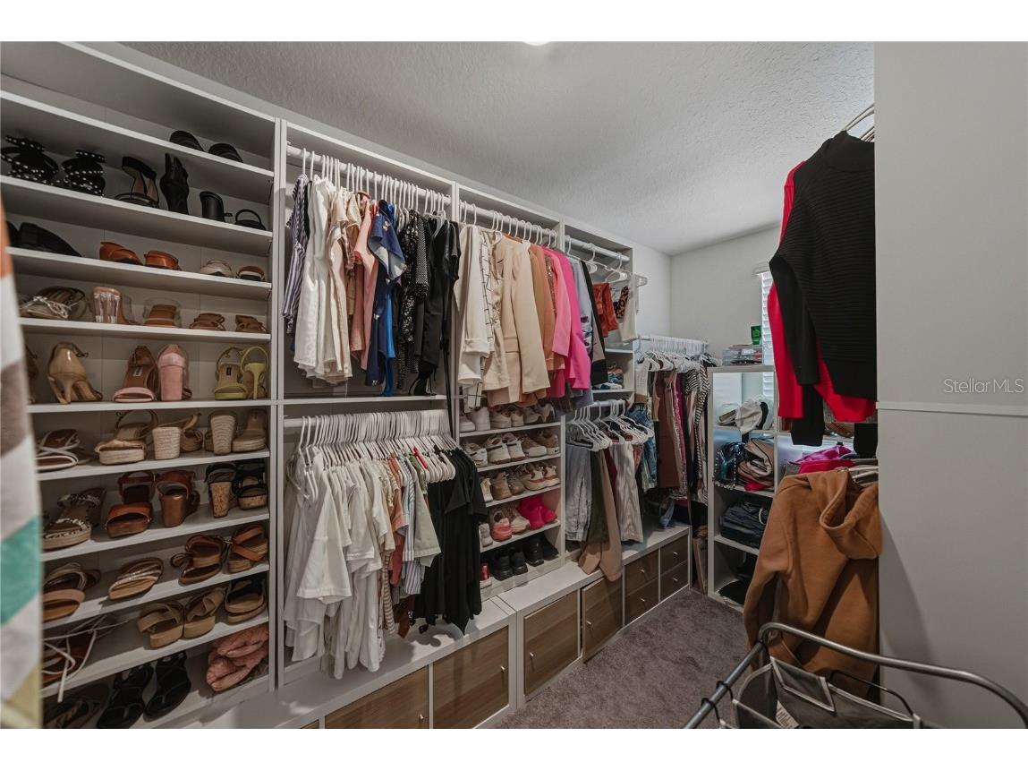 3144 Oyster Cove Street Wimauma FL 33598 TB8447212 image57