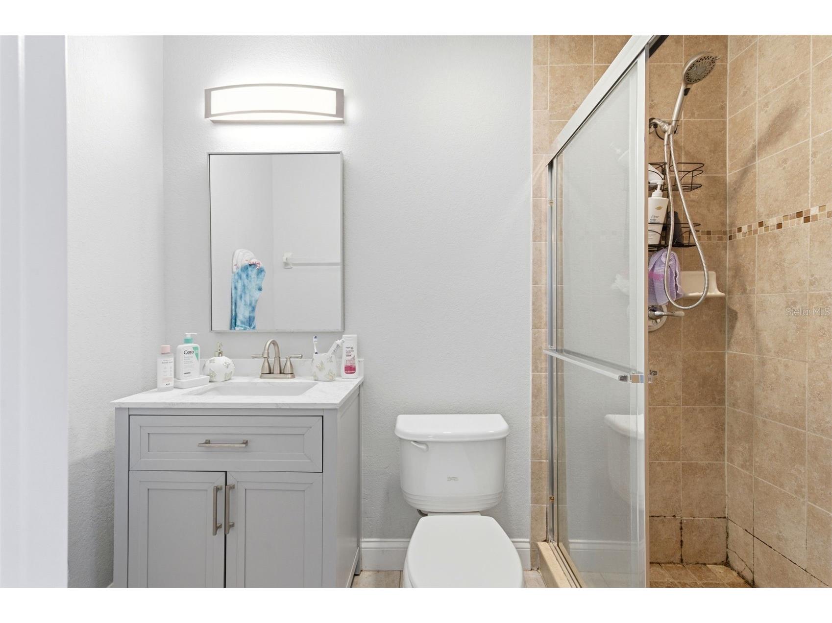 3144 W Cordelia Street Tampa FL 33607 TB8511395 image13