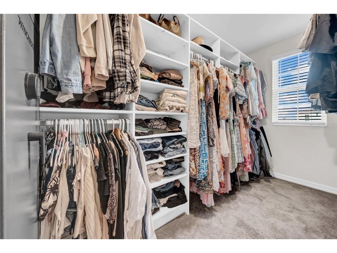 31440 Barrel Wave Way Wesley Chapel FL 33545 TB8414608 image30