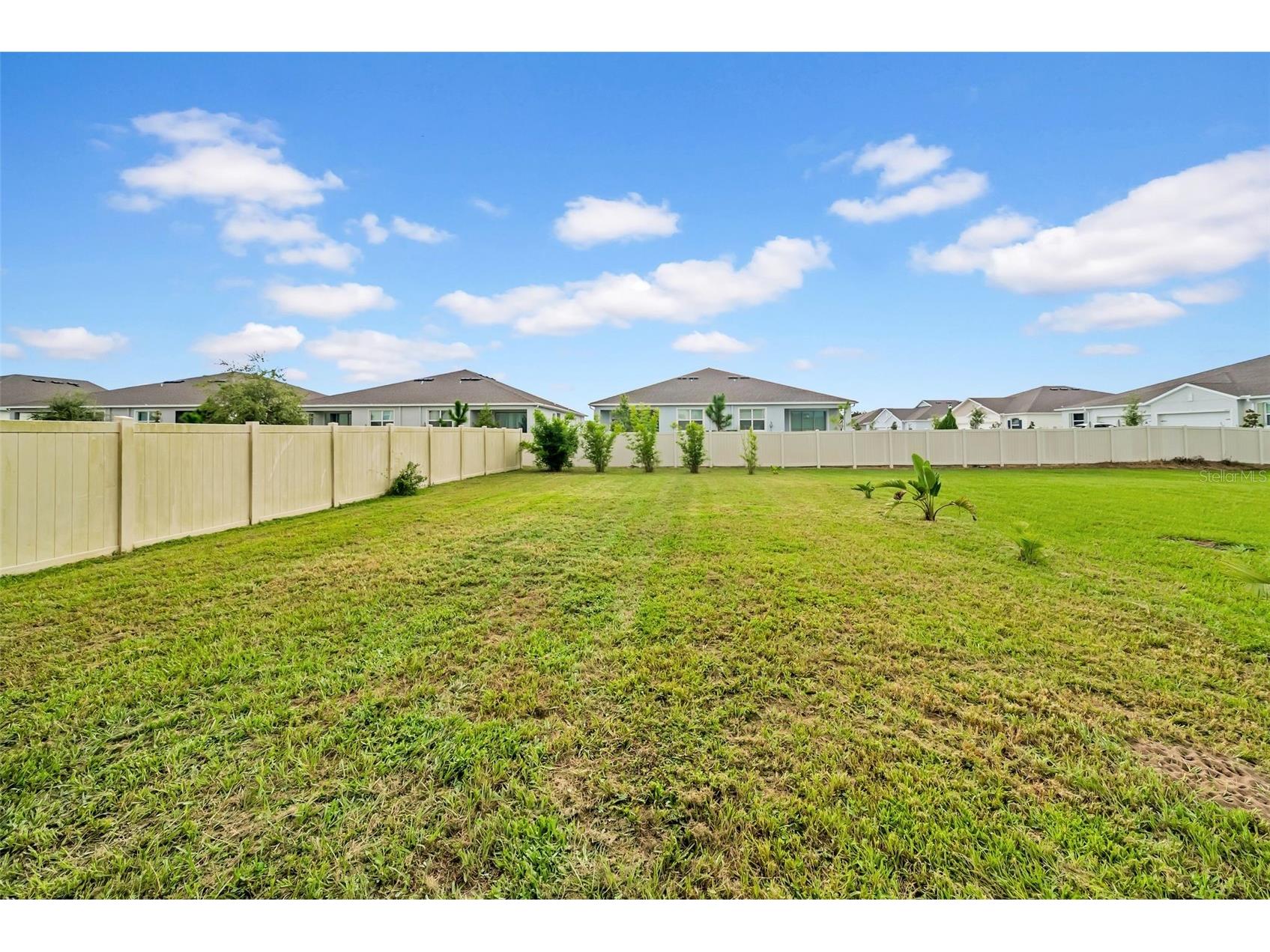 31440 Barrel Wave Way Wesley Chapel FL 33545 TB8458484 image42