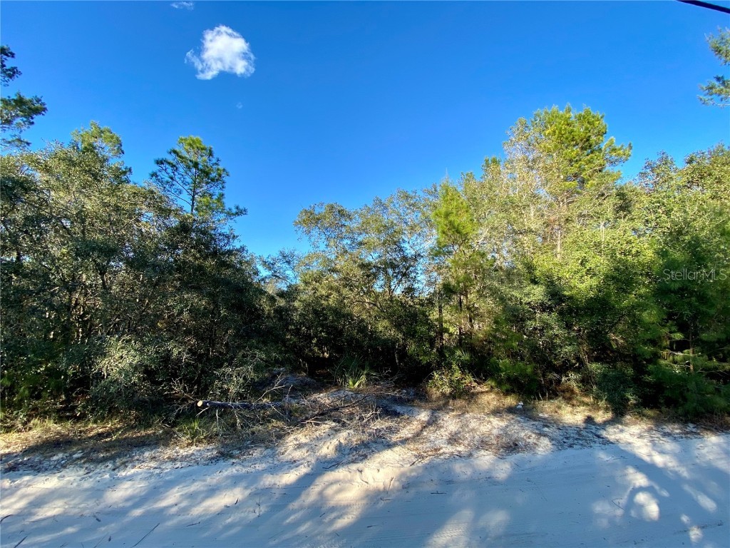 31441 Eddy Lane Deland FL 32720 V4928015 image1