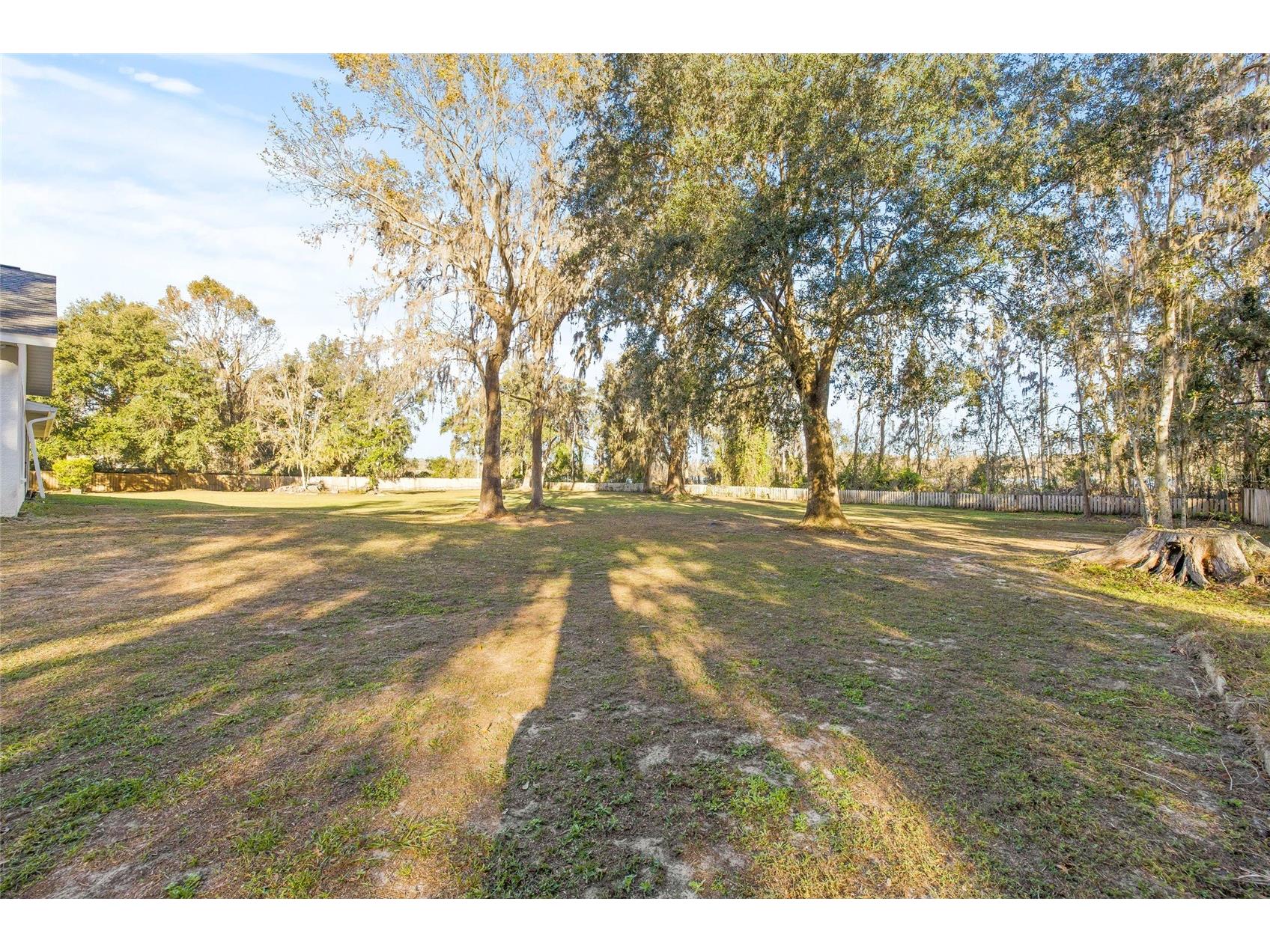 31445 Amberlea Road Dade City FL 33523 L4958572 image17