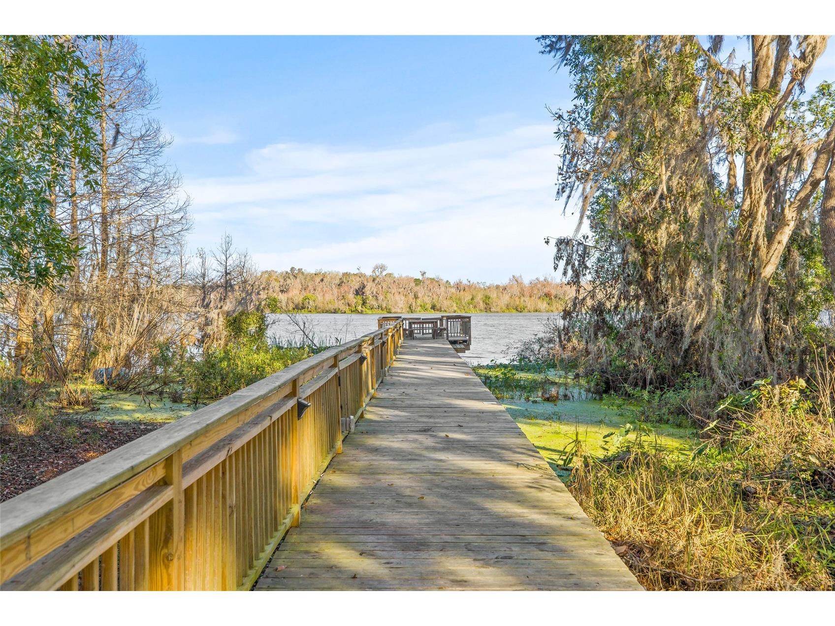 31445 Amberlea Road Dade City FL 33523 L4958572 image20