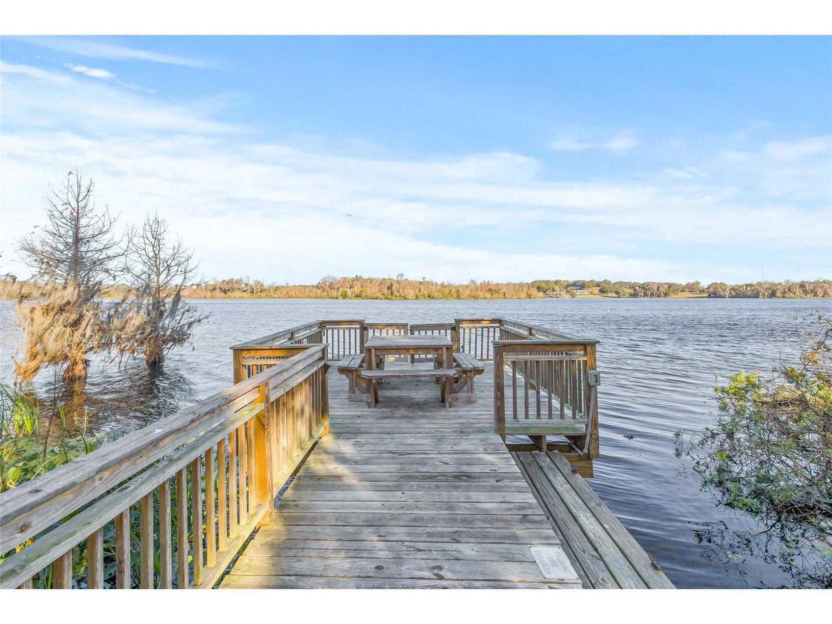 31445 Amberlea Road Dade City FL 33523 L4958572 image21