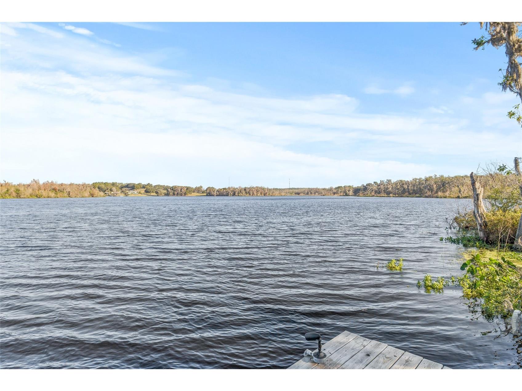 31445 Amberlea Road Dade City FL 33523 L4958572 image22