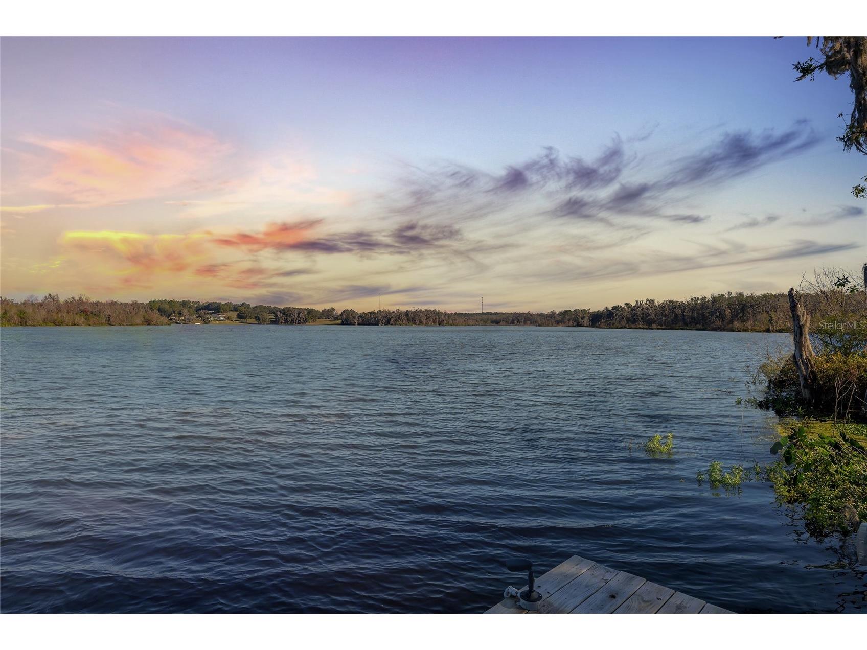 31445 Amberlea Road Dade City FL 33523 L4958572 image23