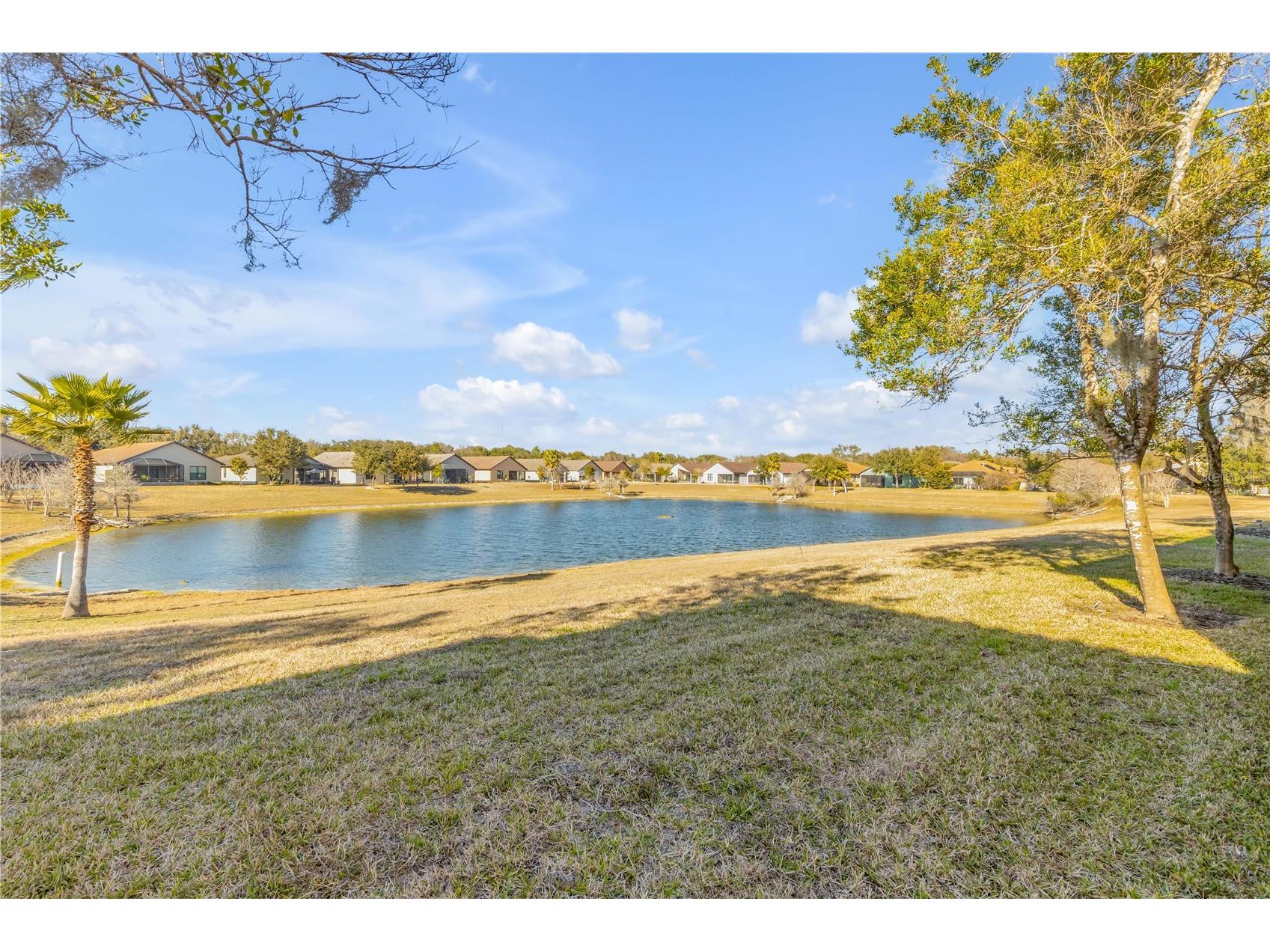 3145 Connemara Drive Ormond Beach FL 32174 V4947388 image51