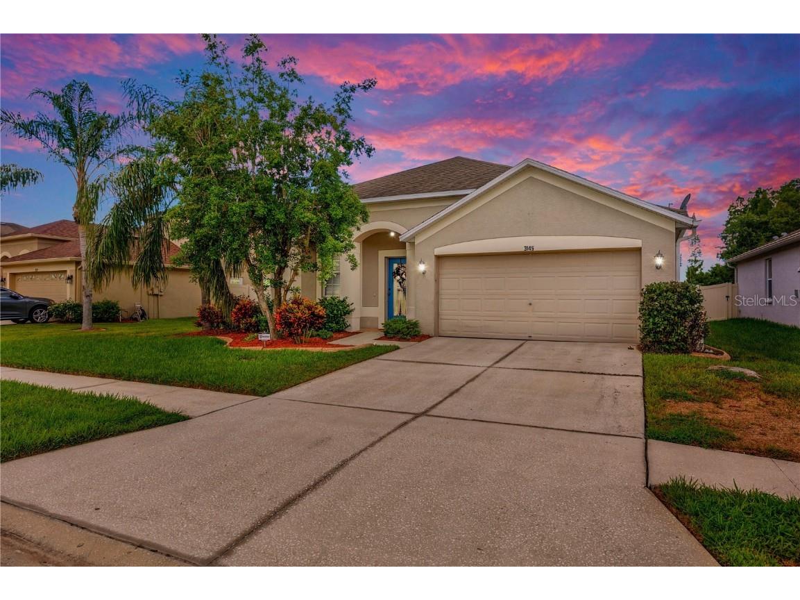 3145 Downan Point Drive Land O Lakes FL 34638 T3543007 image1