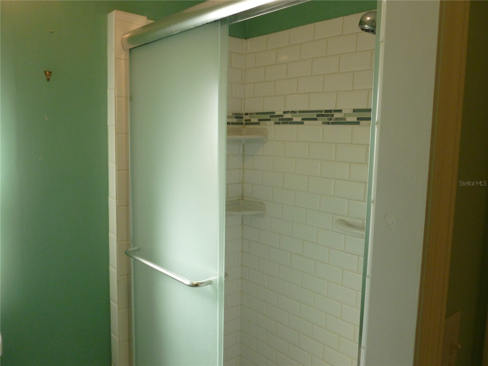 3145 Hickory Drive Wesley Chapel FL 33543 TB8471492 image20