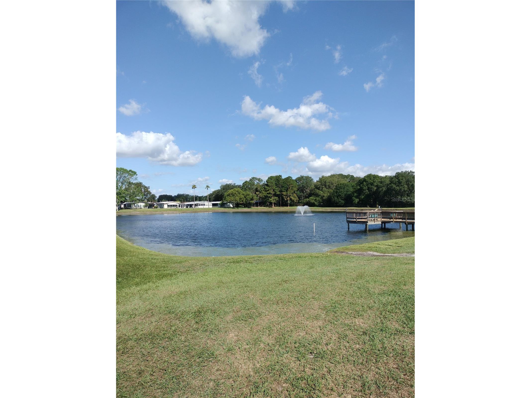 3145 Hickory Drive Wesley Chapel FL 33543 TB8471492 image35