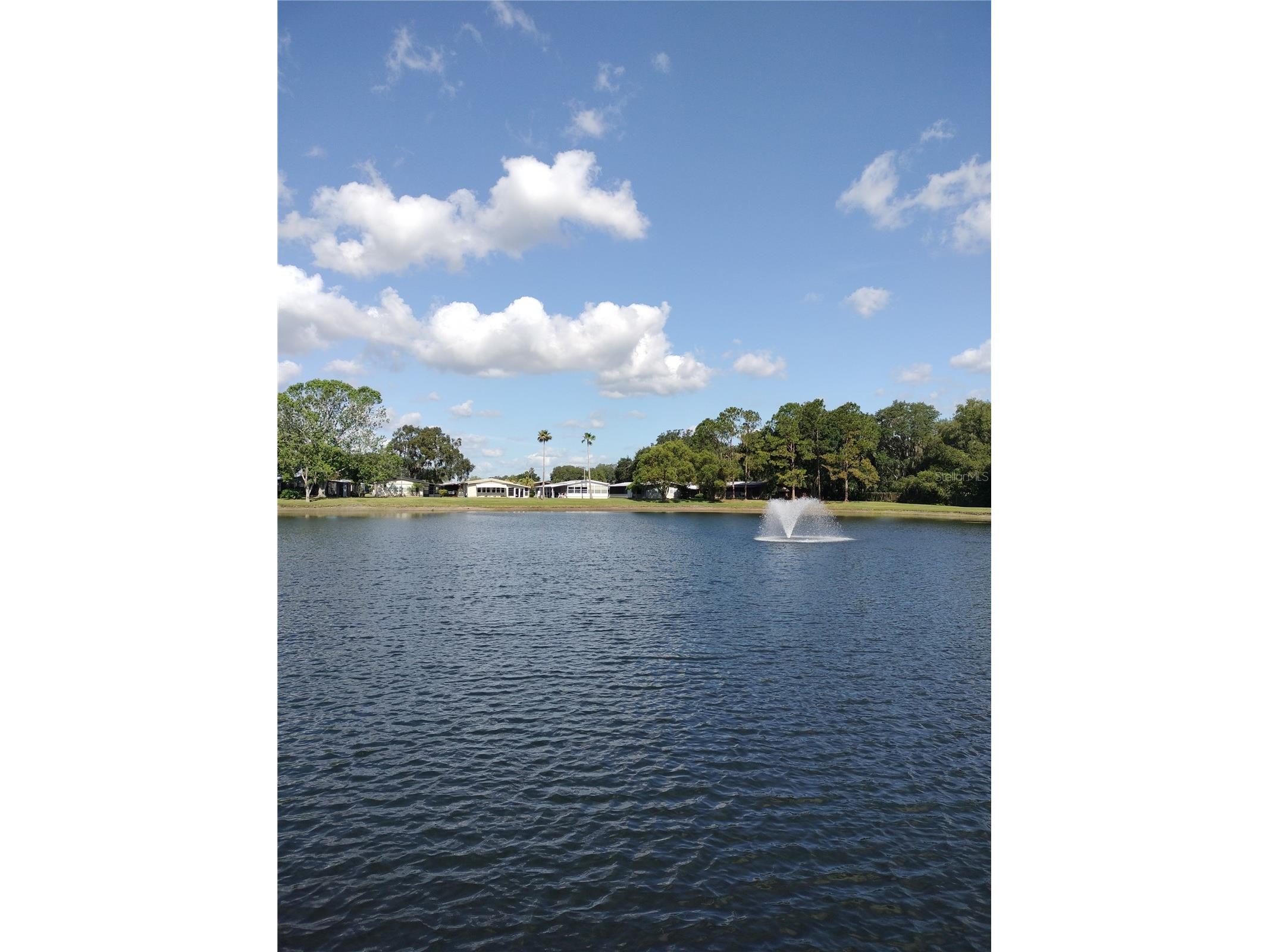 3145 Hickory Drive Wesley Chapel FL 33543 TB8471492 image37