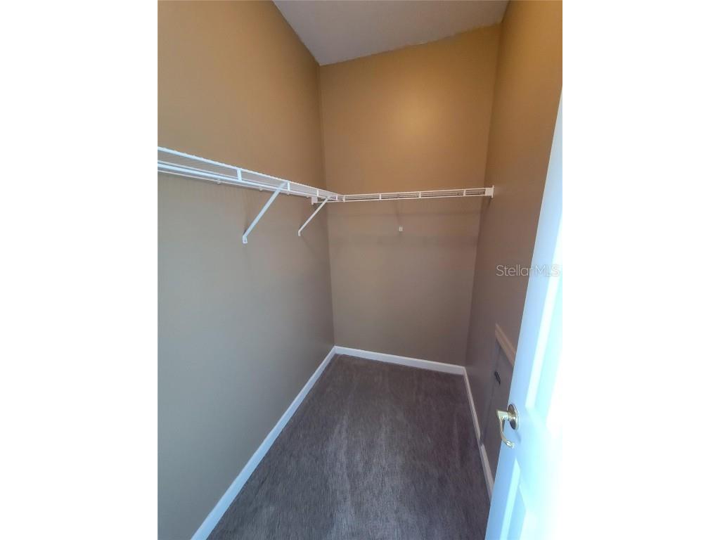 3145 Twisted Oak Loop Kissimmee FL 34744 O6359717 image48