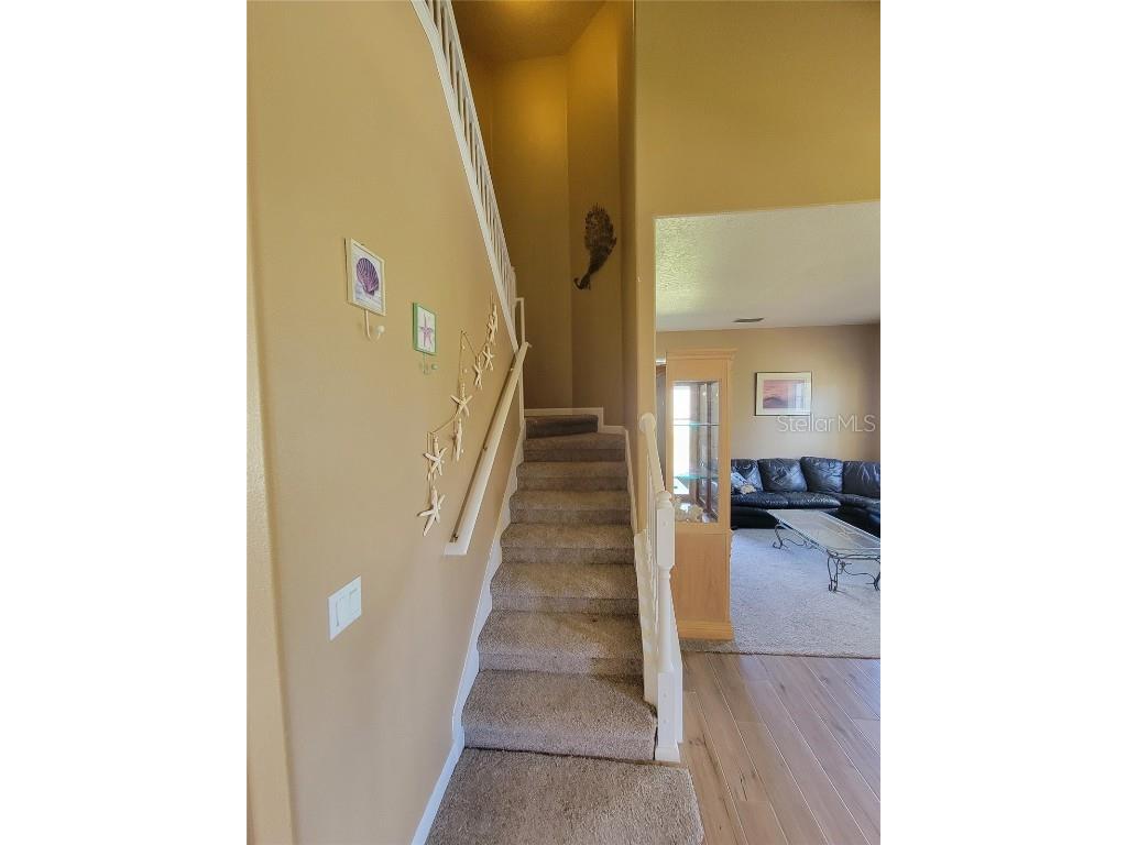 3145 Twisted Oak Loop Kissimmee FL 34744 O6359717 image52