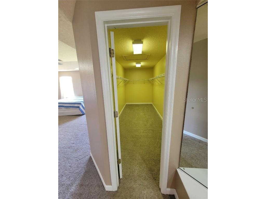 3145 Twisted Oak Loop Kissimmee FL 34744 O6359717 image63