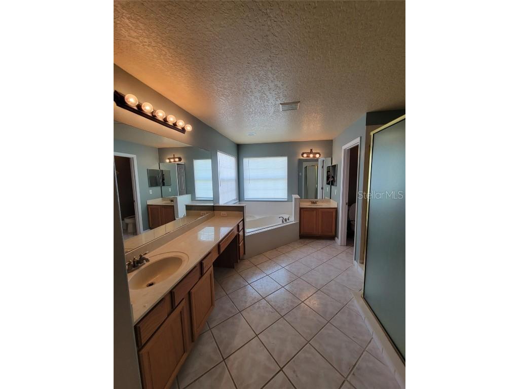 3145 Twisted Oak Loop Kissimmee FL 34744 O6359717 image65