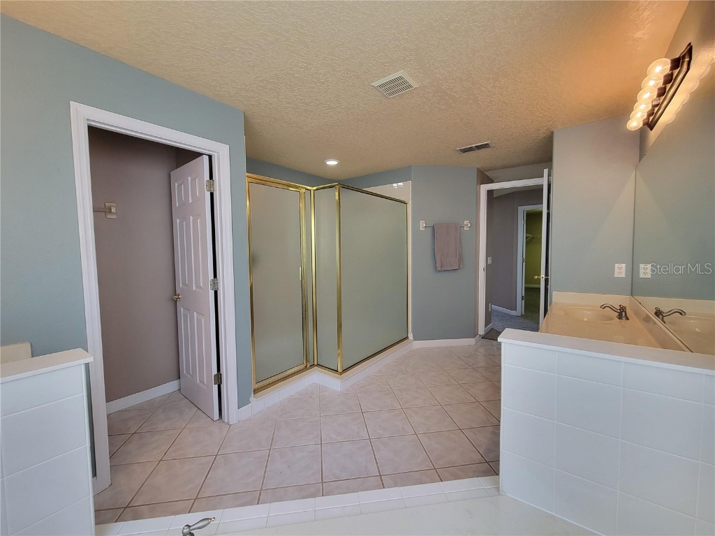 3145 Twisted Oak Loop Kissimmee FL 34744 O6359717 image66