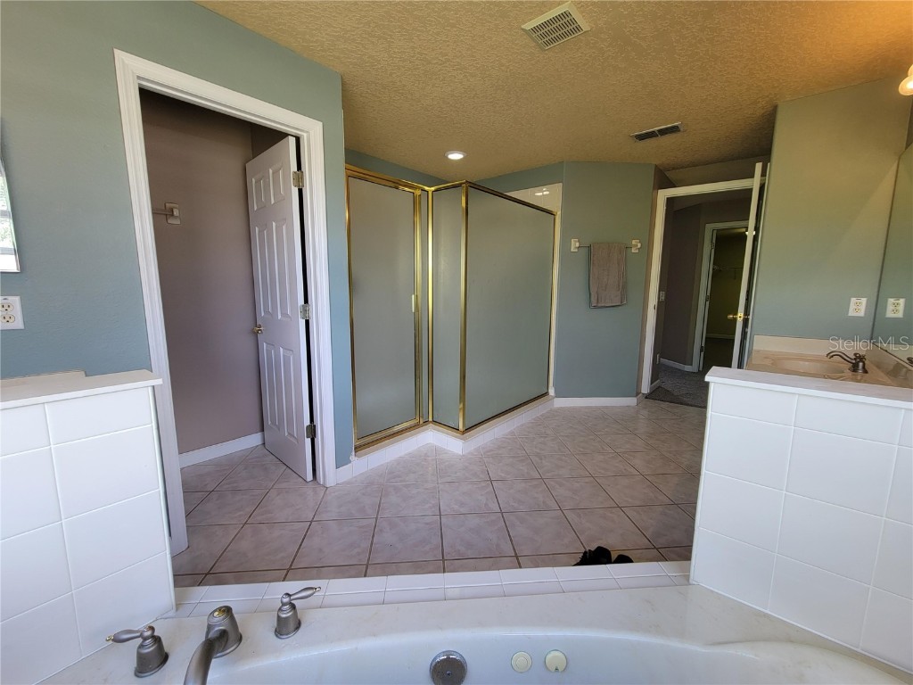 3145 Twisted Oak Loop Kissimmee FL 34744 O6359717 image67