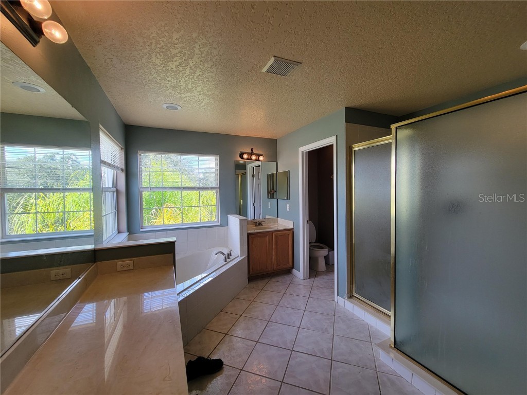 3145 Twisted Oak Loop Kissimmee FL 34744 O6359717 image69